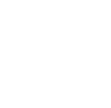 Accessibility Icon
